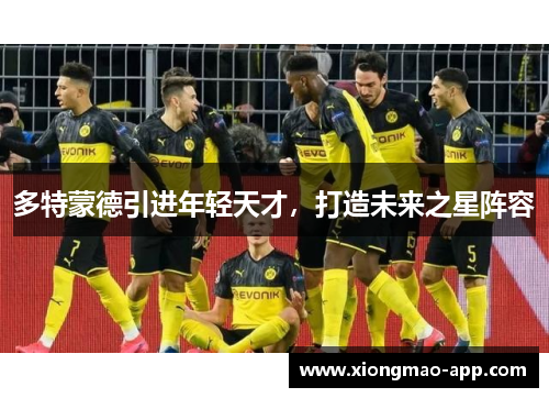 多特蒙德引进年轻天才，打造未来之星阵容